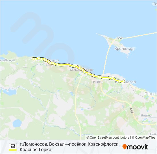 * 672 (ЛОМОНОСОВСКИЙ РАЙОН) bus Line Map