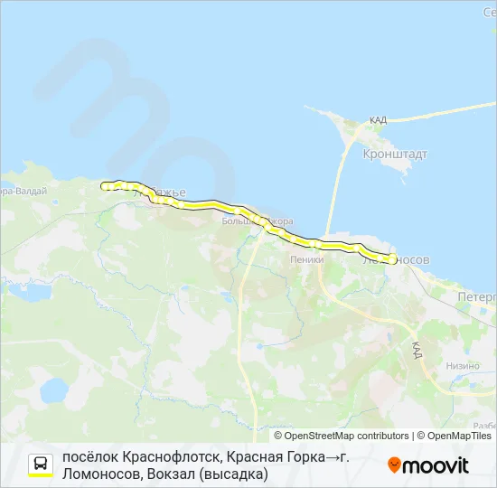 Автобус * 672 (ЛОМОНОСОВСКИЙ РАЙОН): карта маршрута