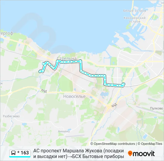 * 163 Bus Line Map