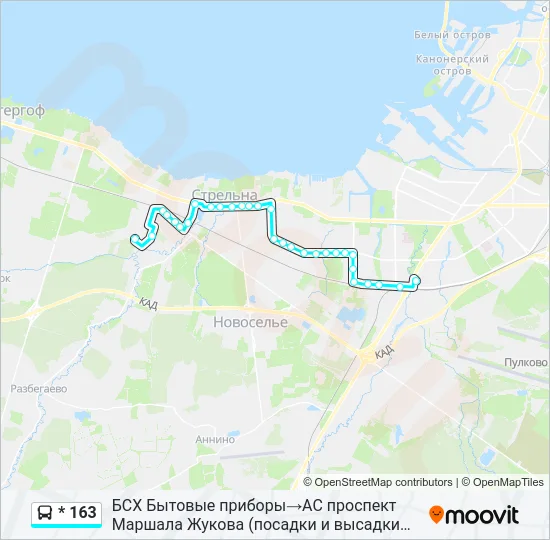 * 163 Bus Line Map