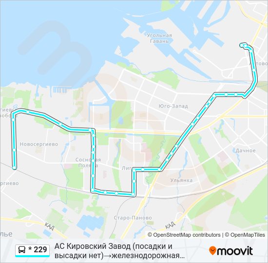 Автобус * 229: карта маршрута