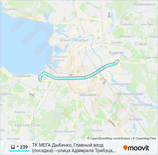 Автобус * 239: карта маршрута