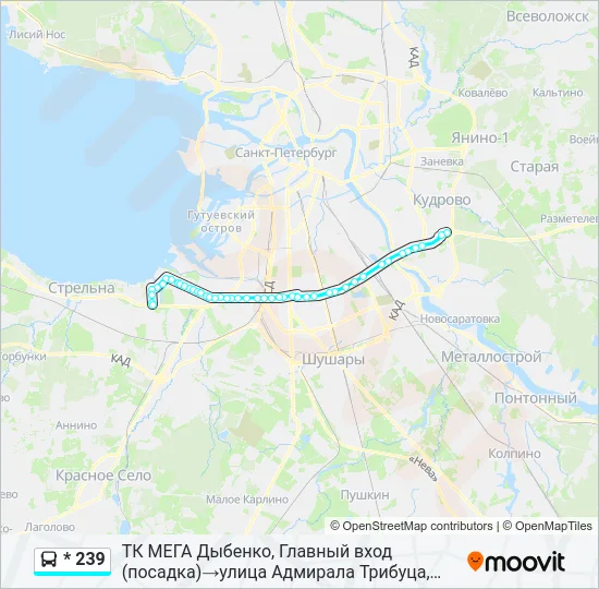 * 239 Bus Line Map