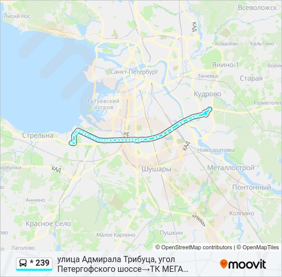 Автобус * 239: карта маршрута