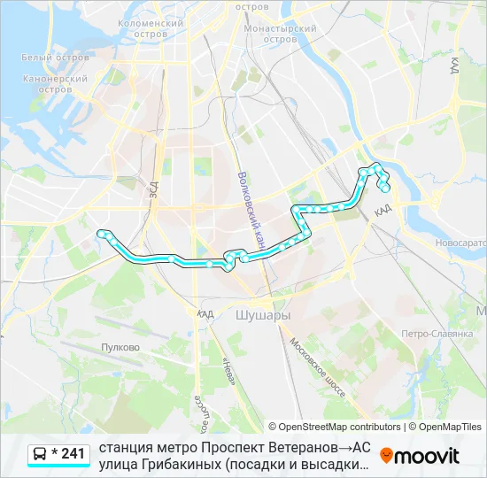 * 241 Bus Line Map