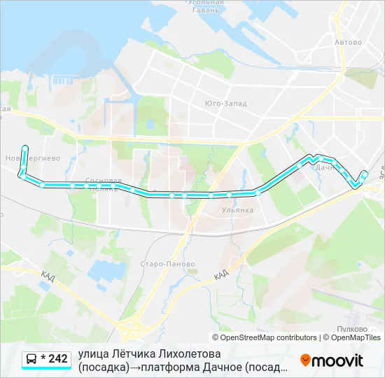 * 242 Bus Line Map