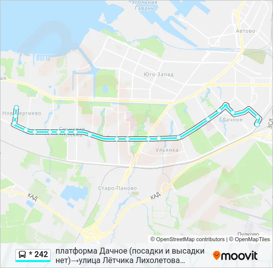 * 242 Bus Line Map
