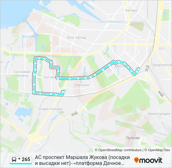 * 265 Bus Line Map