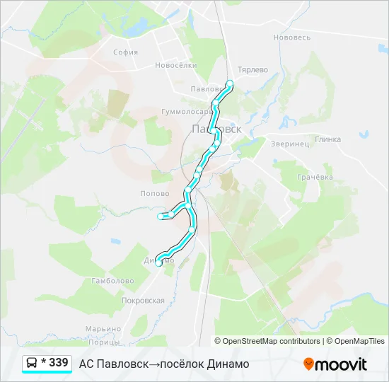 * 339 Bus Line Map