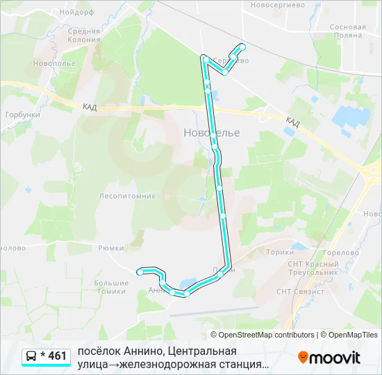 * 461 Bus Line Map