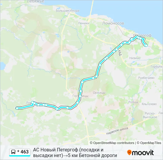 * 463 Bus Line Map