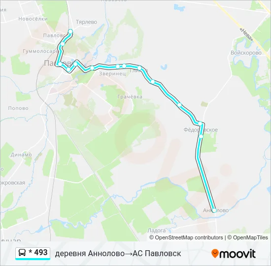 * 493 Bus Line Map