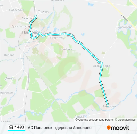 * 493 Bus Line Map