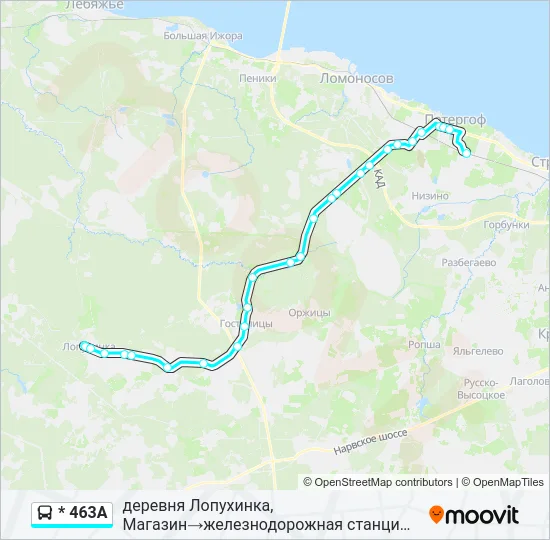 * 463А Bus Line Map