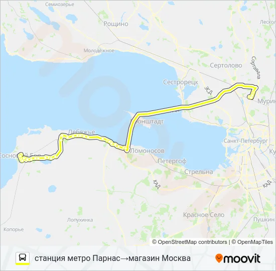 * 402 (СОСНОВЫЙ БОР) Bus Line Map