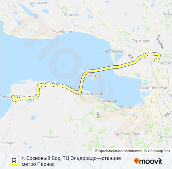 Автобус * 402 (СОСНОВЫЙ БОР): карта маршрута