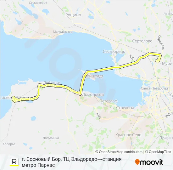 * 402 (СОСНОВЫЙ БОР) Bus Line Map