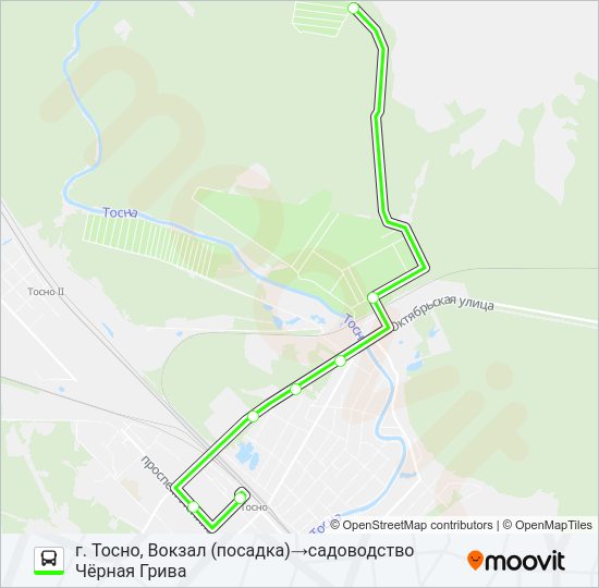 Автобус * 2 (ТОСНЕНСКИЙ РАЙОН): карта маршрута