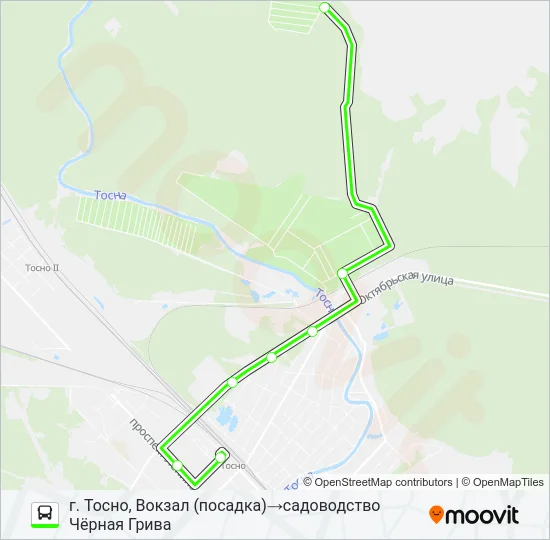 Автобус * 2 (ТОСНЕНСКИЙ РАЙОН): карта маршрута