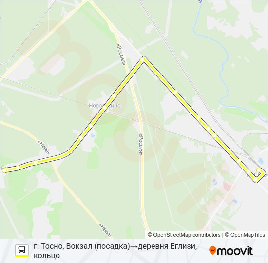 Автобус * 315 (ТОСНЕНСКИЙ РАЙОН): карта маршрута