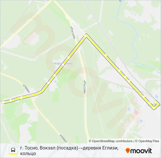 Автобус * 315 (ТОСНЕНСКИЙ РАЙОН): карта маршрута