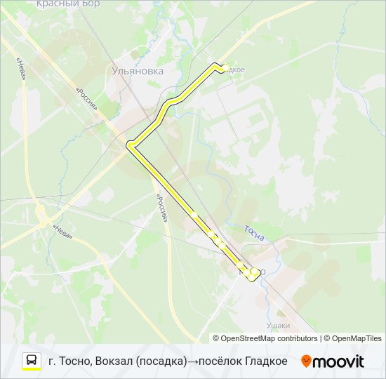 Автобус * 319 (ТОСНЕНСКИЙ РАЙОН): карта маршрута