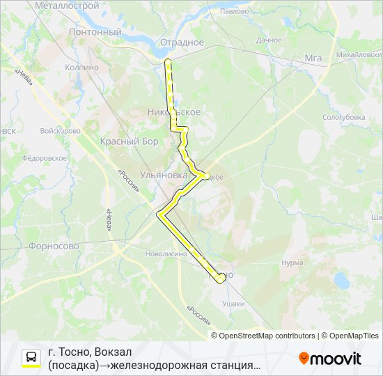 Автобус * 319 (ТОСНЕНСКИЙ РАЙОН): карта маршрута