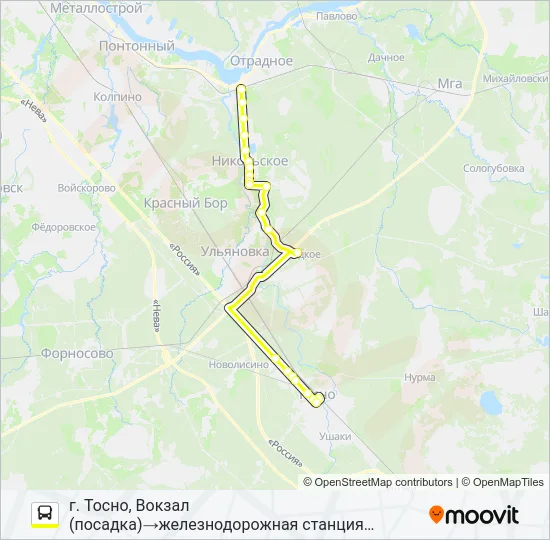 Автобус * 319 (ТОСНЕНСКИЙ РАЙОН): карта маршрута