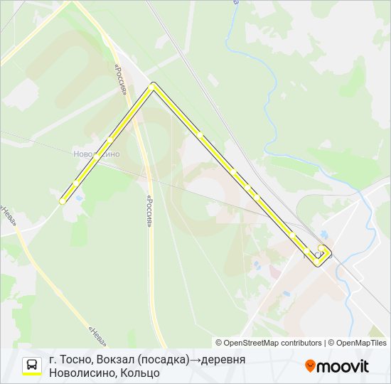 Автобус * 315А (ТОСНЕНСКИЙ РАЙОН): карта маршрута