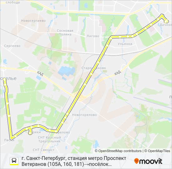 * 181 (ЛОМОНОСОВСКИЙ РАЙОН) Bus Line Map