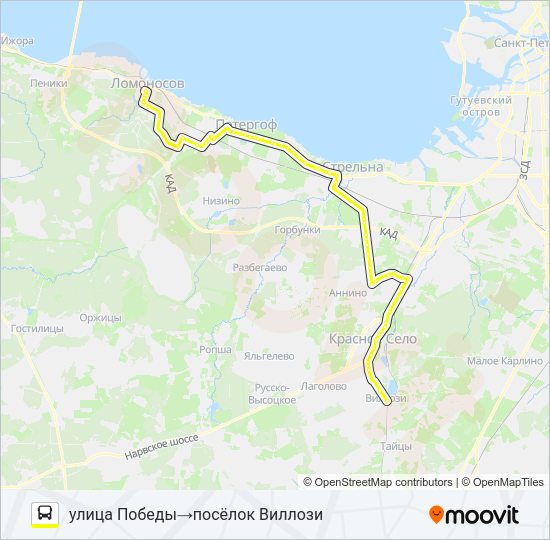 Автобус * 636 (ЛОМОНОСОВСКИЙ РАЙОН): карта маршрута