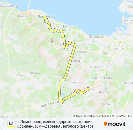 Автобус * 653 (ЛОМОНОСОВСКИЙ РАЙОН): карта маршрута