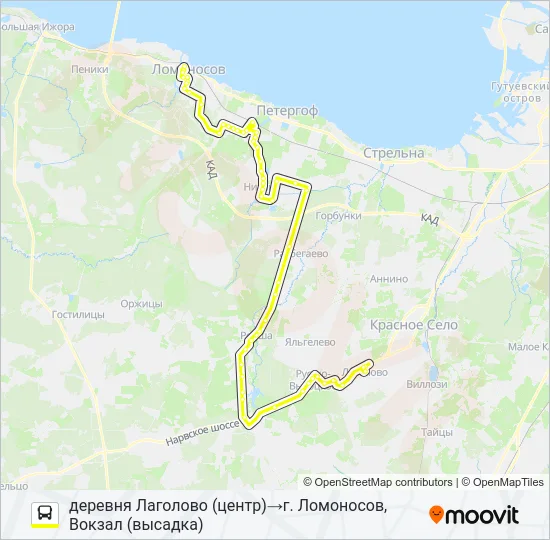 Автобус * 653 (ЛОМОНОСОВСКИЙ РАЙОН): карта маршрута