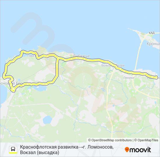 Автобус * 673 (ЛОМОНОСОВСКИЙ РАЙОН): карта маршрута