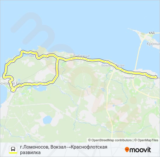 Автобус * 673 (ЛОМОНОСОВСКИЙ РАЙОН): карта маршрута