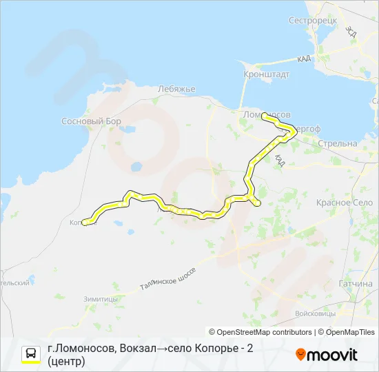 Автобус * 681 (ЛОМОНОСОВСКИЙ РАЙОН): карта маршрута