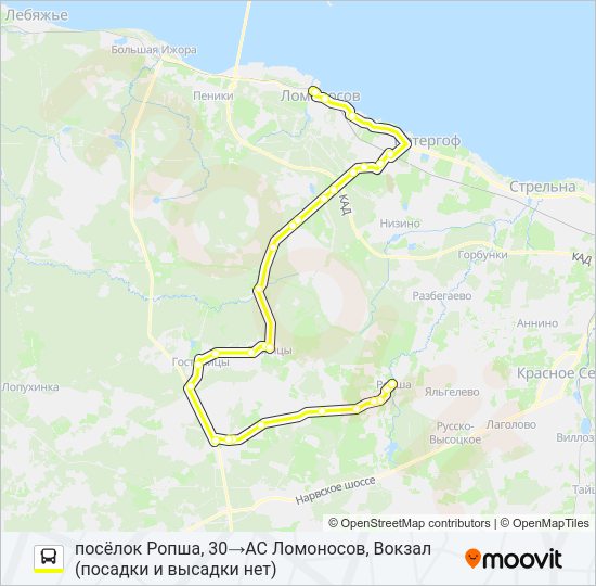 Автобус * 687 (ЛОМОНОСОВСКИЙ РАЙОН): карта маршрута