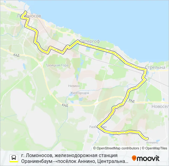 * 653А (ЛОМОНОСОВСКИЙ РАЙОН) Bus Line Map