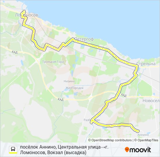 * 653А (ЛОМОНОСОВСКИЙ РАЙОН) Bus Line Map