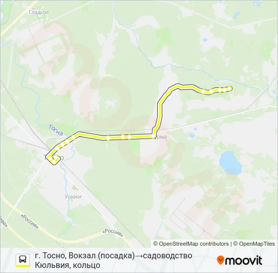 * 337 (ТОСНЕНСКИЙ РАЙОН) Bus Line Map