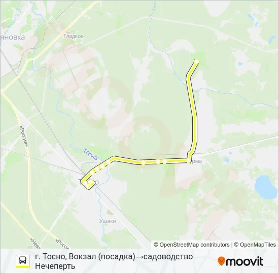 * 338 (ТОСНЕНСКИЙ РАЙОН) Bus Line Map