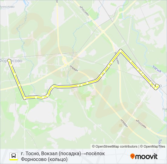 Автобус * 315Б (ТОСНЕНСКИЙ РАЙОН): карта маршрута
