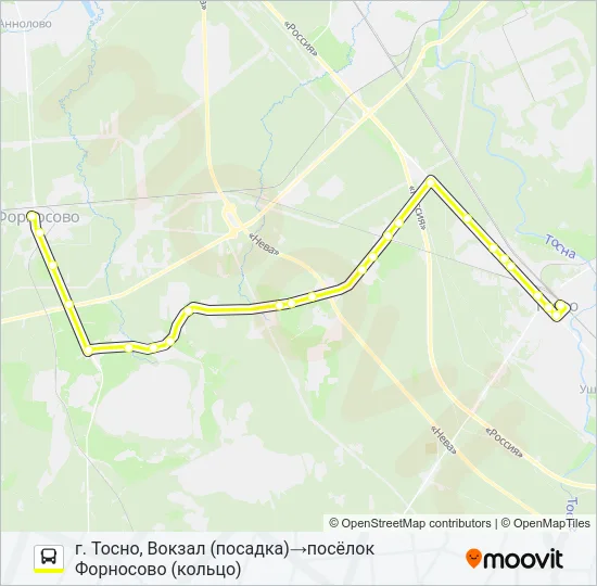 * 315Б (ТОСНЕНСКИЙ РАЙОН) Bus Line Map