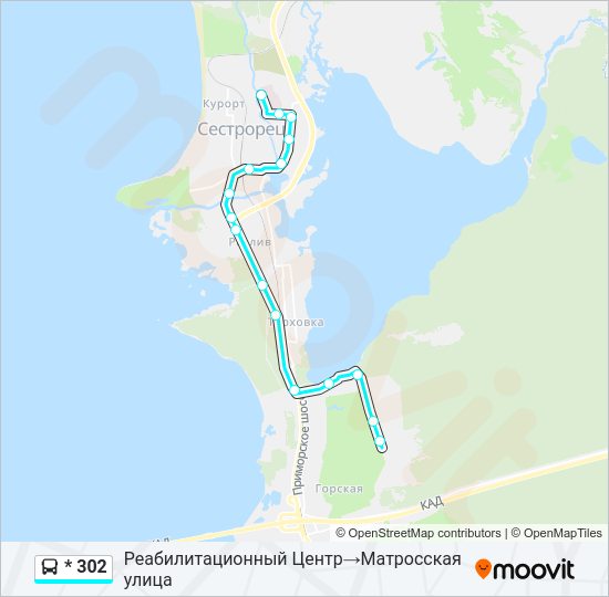 Автобус * 302: карта маршрута