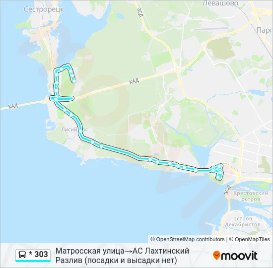 * 303 Bus Line Map