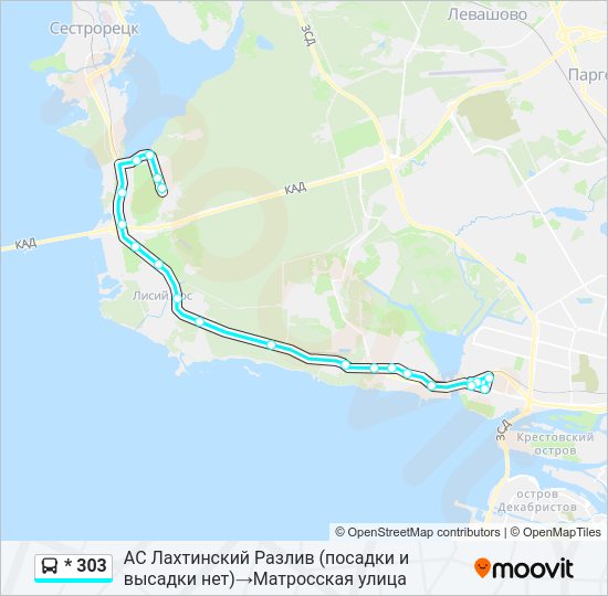 Автобус * 303: карта маршрута