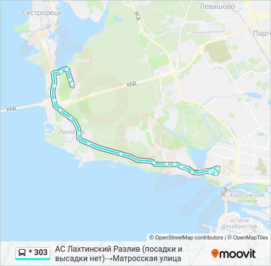 * 303 Bus Line Map