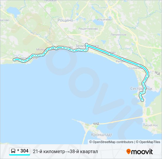 Автобус * 304: карта маршрута