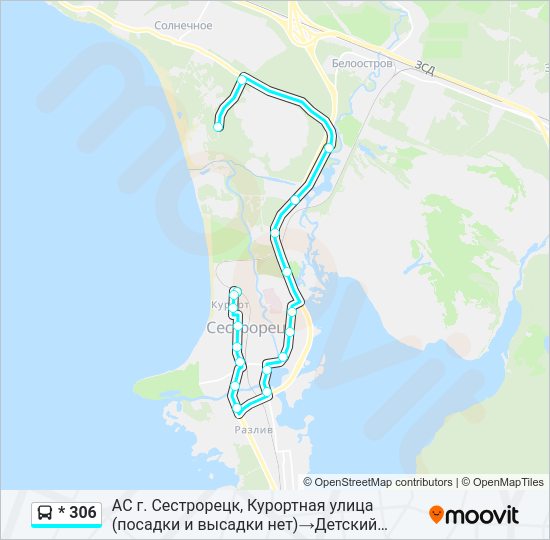 Автобус * 306: карта маршрута