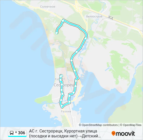 Автобус * 306: карта маршрута